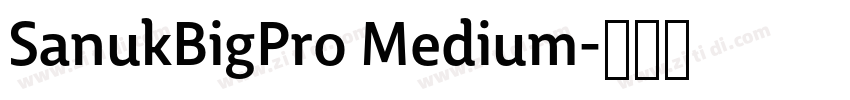 SanukBigPro Medium字体转换 SanukBigPro Medium字体转换